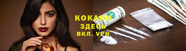 сатива Арсеньев